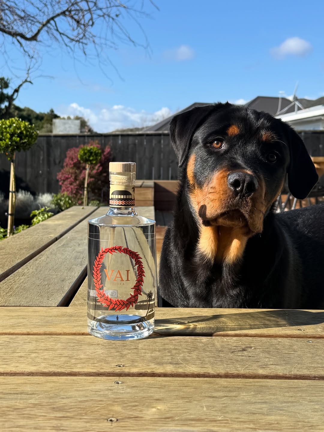 VAI - Vodka 700ml
